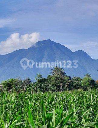 Jual Rumah View Gunung Pedesaan di Ciampea Bogor 2