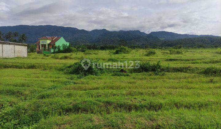 Dijual Tanah 7.000 M2 SHM di Brebes 1