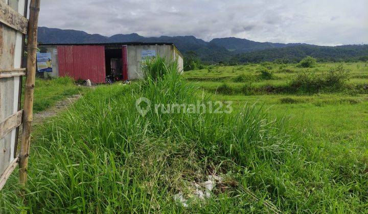 Dijual Tanah 7.000 M2 SHM di Brebes 2