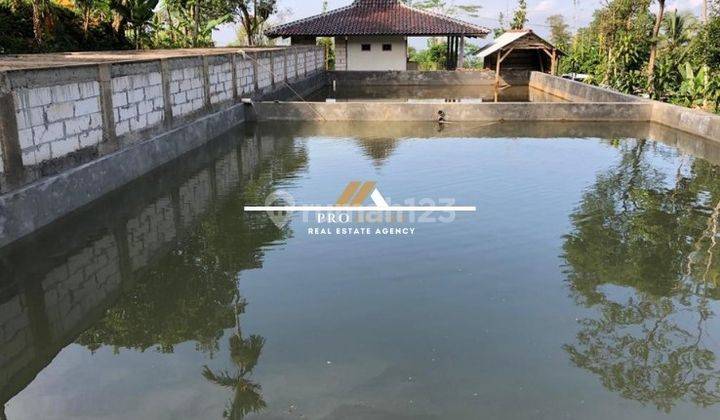 Dijual Murah Tanah Empang Bonus Rumah di Cidahu, Sukabumi 1