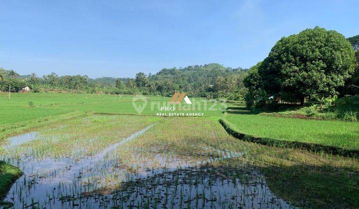 Dijual Tanah 27 Ha SHM di Cibinong Hilir, Cianjur 1