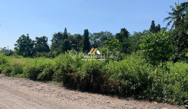 Dijual Tanah 27 Ha SHM di Cibinong Hilir, Cianjur 2