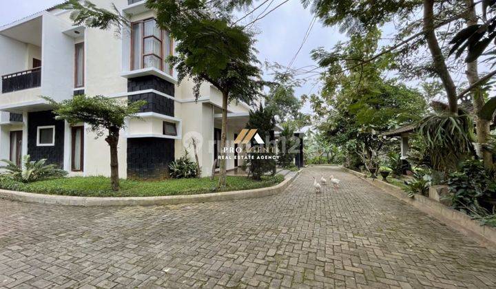 Dijual Rumah Besar Cocok Untuk Investasi / Villa di Ciawi Bogor 2