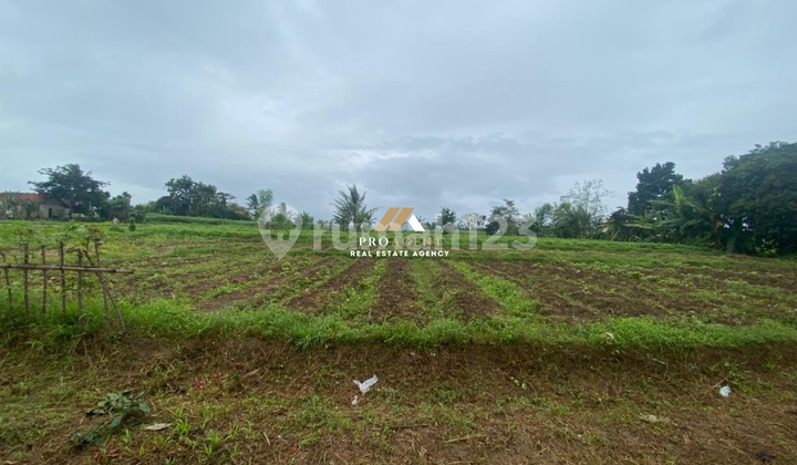 Dijual Tanah SHM Siap Bangun di Cibungbulang, Bogor 1