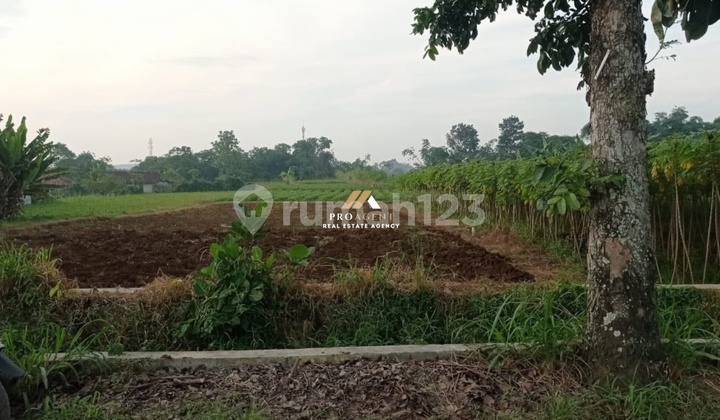 Dijual Tanah 4000 m2 Siap Bangun di Jalan Raya Cangkrang - Dramaga
