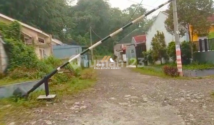 Kebun Durian Produktif - Siap Panen!