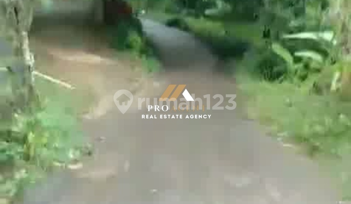 Strategic Plantation Land - Ready to be Managed & Developed