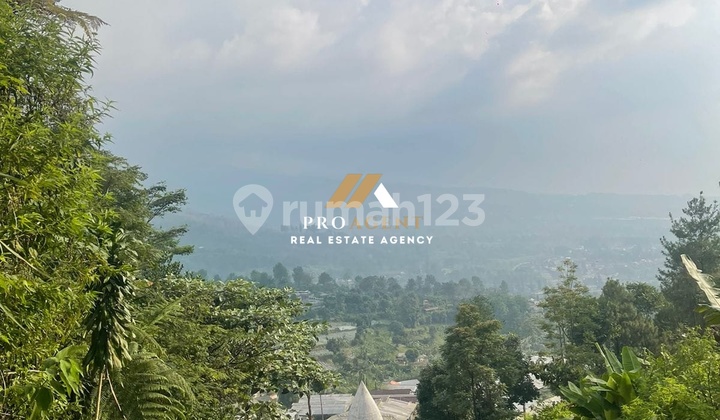 Investment Opportunity! Beautiful and Ready-to-Use Environment