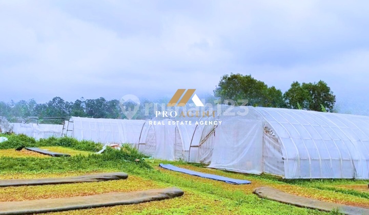 Peluang Investasi Menarik! Kavling + Rumah Siap Huni, Lokasi Prospektif dan Nyaman