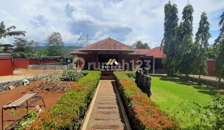 For Sale Spacious Move-In Ready House Near Toll Road in Pabuaran, Kemang Bogor. For Sale Spacious Move-In Ready House Near Toll Road in Pabuaran, Kemang Bogor.