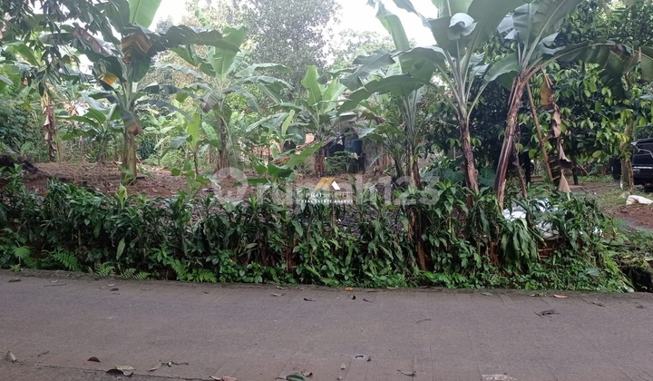 Dijual Tanah 365 m2 Siap Bangun di Kp. Cijayanti Bogor