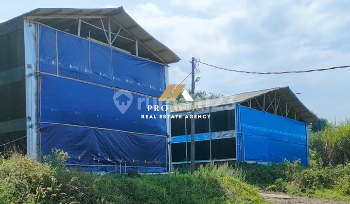 Investasi Tanah Siap Pakai - Tanah Luas Potensial, Suasana Asri dan Tenang