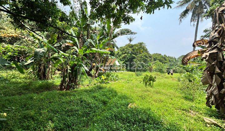 Dijual Tanah 1,3 Hektar Cocok Untuk Peternakan Dan Perkebunan Investasi di Sukamulya, Rumpin 1