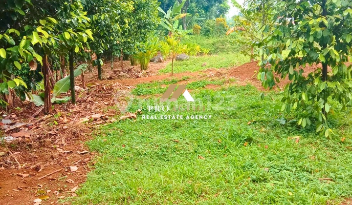 Tanah Kavling Strategis untuk Hunian & Investasi di Ciomas