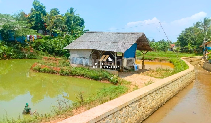 Tanah Empang Lengkap dengan 1 Gubuk - Cocok untuk Bisnis Perikanan dan Wisata Air Tanah Empang Lengkap dengan 1 Gubuk - Cocok untuk Bisnis Perikanan dan Wisata Air