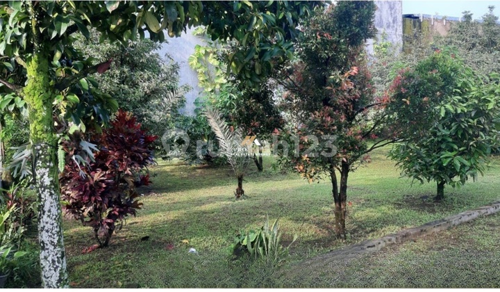 For Sale: House and Factory with SHM Certificate on Batu Gede Street, Pasir Eurih Bogor. For Sale: House and Factory with SHM Certificate on Batu Gede Street, Pasir Eurih Bogor.