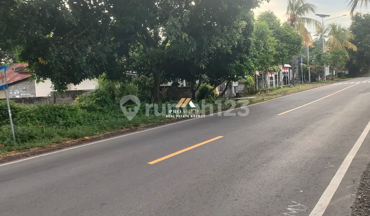 Dijual Tanah SHM 1 Hektar Siap Bangun di Bali