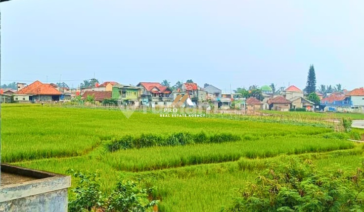 Peluang Investasi - Lahan Subur dengan Akses Jalan & Irigasi Aktif