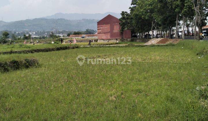 Tanah Sawah Strategis (hampir 1 hektar) di jl Ciputih / jl Lingkar Baru Kec Soreang Kab Bandung 1