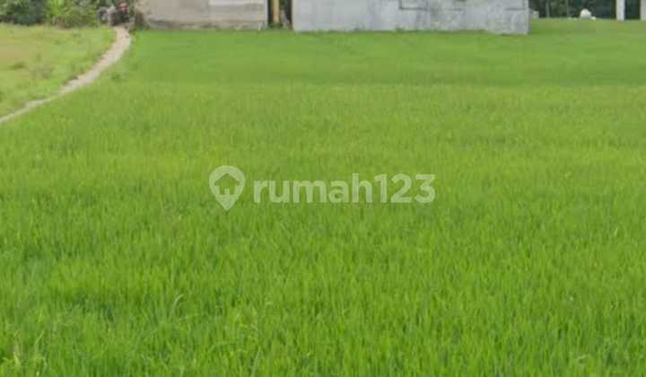 Land, Large (Free Building) in a Dense Wing Area, Jl. Kolonel Ahmad Syam, Cikeruh, Jatinangor, Sumedang Regency