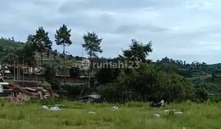 Tanah Luas di Cikole Lembang Bandung
Barat 2