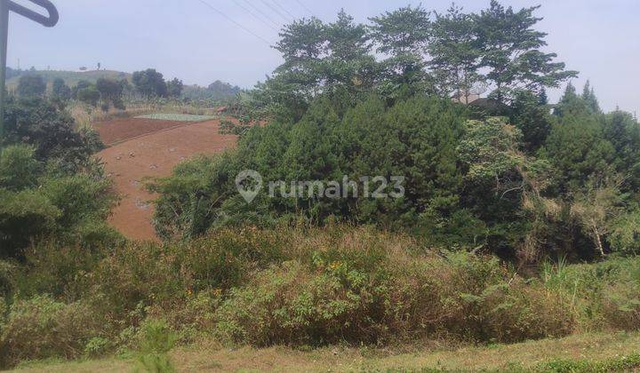 Tanah Kavling 1 Ha Lebih di Dago Pakar Bandung 1