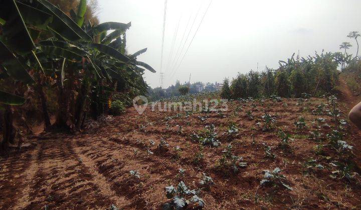 Tanah Kavling 1 Ha Lebih di Dago Pakar Bandung 2