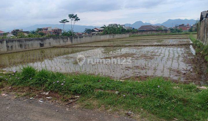 Tanah Luas di Junti Girang (Gandasoli Cikambuy) Gandasari Katapang Kab Bandung 1