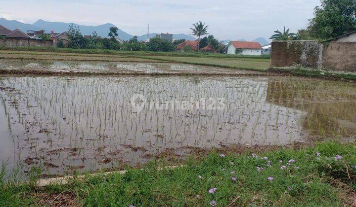 Tanah Luas di Junti Girang (Gandasoli Cikambuy) Gandasari Katapang Kab Bandung 2