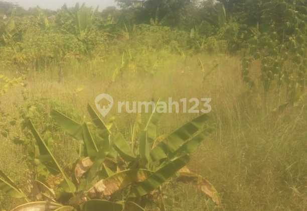 Land Near Metland Complex, Kertajati District, Majalengka Regency Land Near Metland Complex, Kertajati District, Majalengka Regency