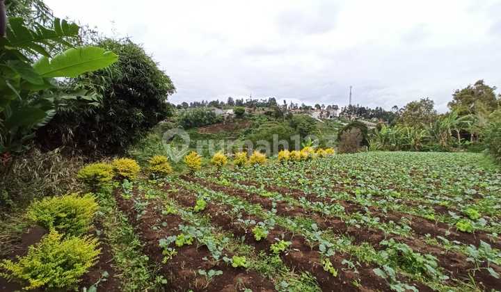 Tanah Luas & Cantik Di Cigugur Girang Parongpong Kab Bandung Barat
