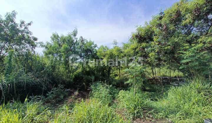 Tanah Kavling 1,6 Hektar Siap Bangun Di Gajah Mekar Kec Kutawaringin Kab Bandung