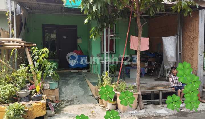 Rumah Standar Siap Huni di Citra Indah City 5413BC Rumah Standar Siap Huni di Citra Indah City 5413BC