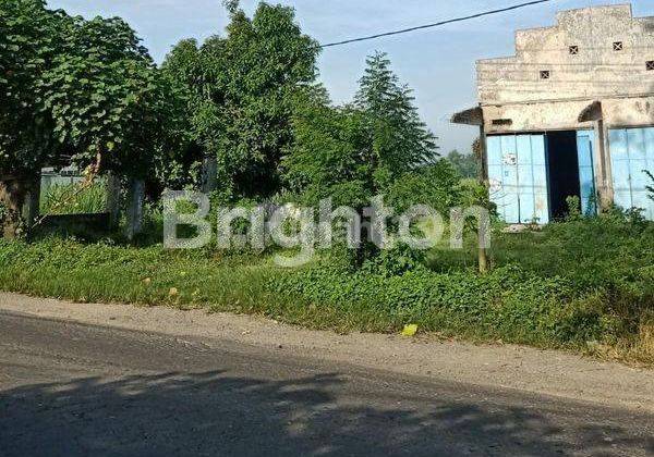 400 Ribuan Per Meter Masih Nego Wajar Tanah di Jombang Cocok Untuk Peternakan 1