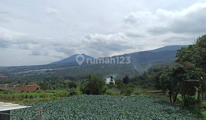 Tanah di Gunung Putri 2,3 SHM hectare 2