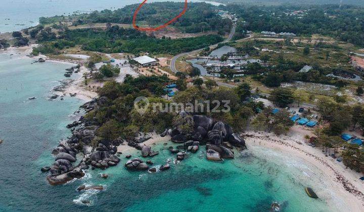 Kavling komersil  di BELITUNG Deket tempat wisata dan hotel berbintang  Luas 1,2 ha 2