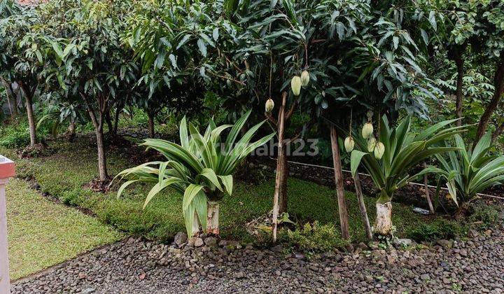 Dijual rumah villa area ciwidey ada kebun buah2an dan kolam ikan daerah ranca gede 2