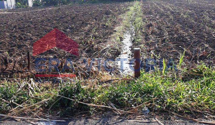 Tanah Luas Di Krebet Bululawang Dekat Ponpes An Nur 2 Putri 2