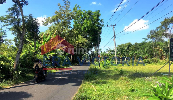Rumah Minimalis Modern Baru Di Royal Regency Dorogowok Lumajang 17