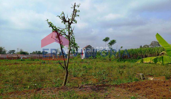 Tanah Kavling Di Ngenep Karangploso, Dekat Pemukiman Warga 2