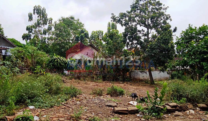 Tanah Kebun Ketindan Lawang Cocok Untuk Tempat Tinggal Atau Aset
