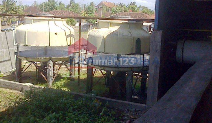Pabrik Es Dan Tepung Ikan Full Mesin Produksi Aktif Negara Bali 5