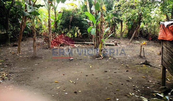 Rumah Pinggir Jalan Kota Kertosono Nganjuk Dekat Rumah Sakit 6
