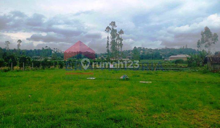 Dijual Tanah Pinggir Jalan Dekat Wisata Santera Pujon Malang 1