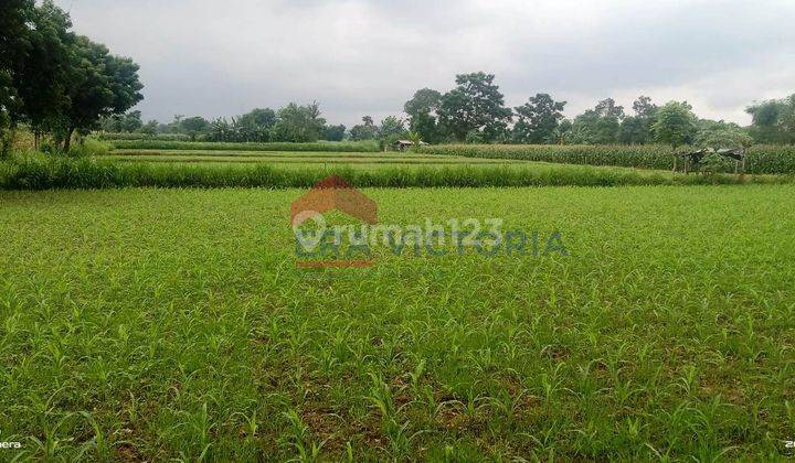 Tanah Sangat Luas Di Pinggir Raya Banyuwangi Jalur Utama Ketapang 4