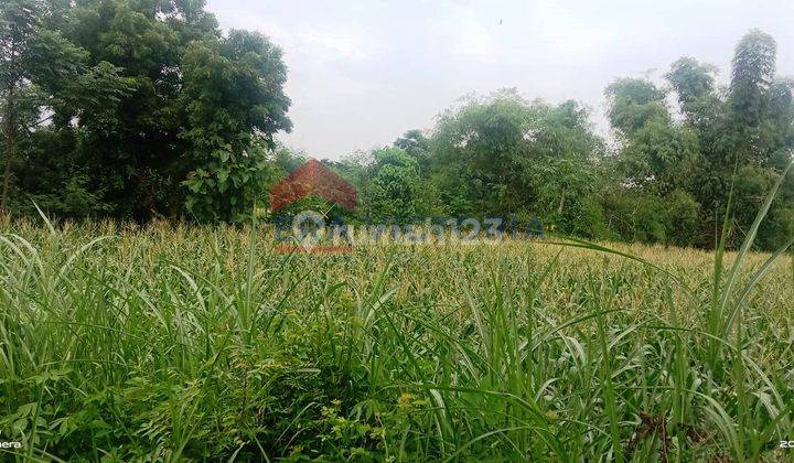Tanah Sangat Luas Di Pinggir Raya Banyuwangi Jalur Utama Ketapang 7