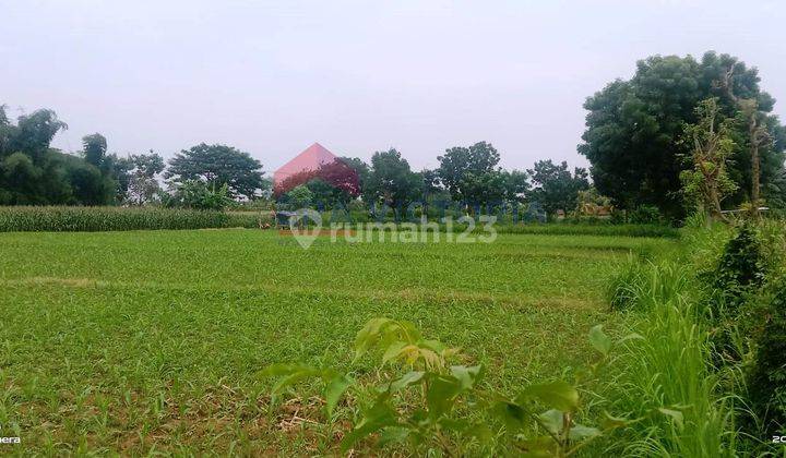 Tanah Sangat Luas Di Pinggir Raya Banyuwangi Jalur Utama Ketapang 10