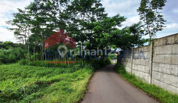 Tanah Kavling Randuagung Dekat Karoseri Dan Senza Singosari Tanah Kavling Randuagung Dekat Karoseri Dan Senza Singosari