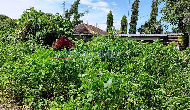 Tanah Tengah Kota Pasuruan Pinggir Jalan Besar Cocok Untuk Usaha 2