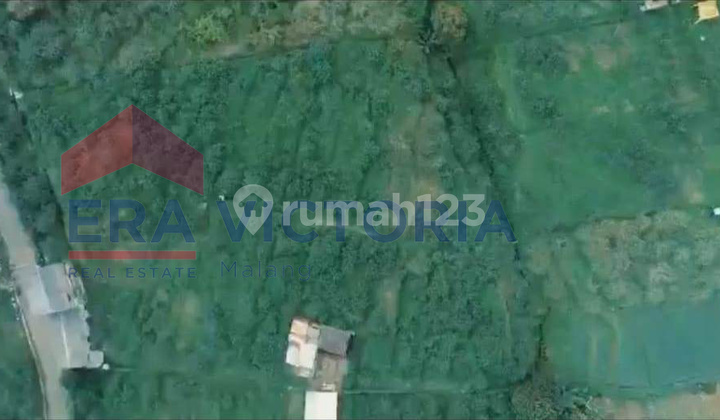 Tanah Jual Jalan Paving Dekat Selecta Potensi unutk Usaha Tanah Jual Jalan Paving Dekat Selecta Potensi unutk Usaha